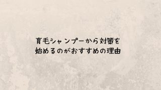 育毛シャンプーから対策を始めるのがおすすめの理由