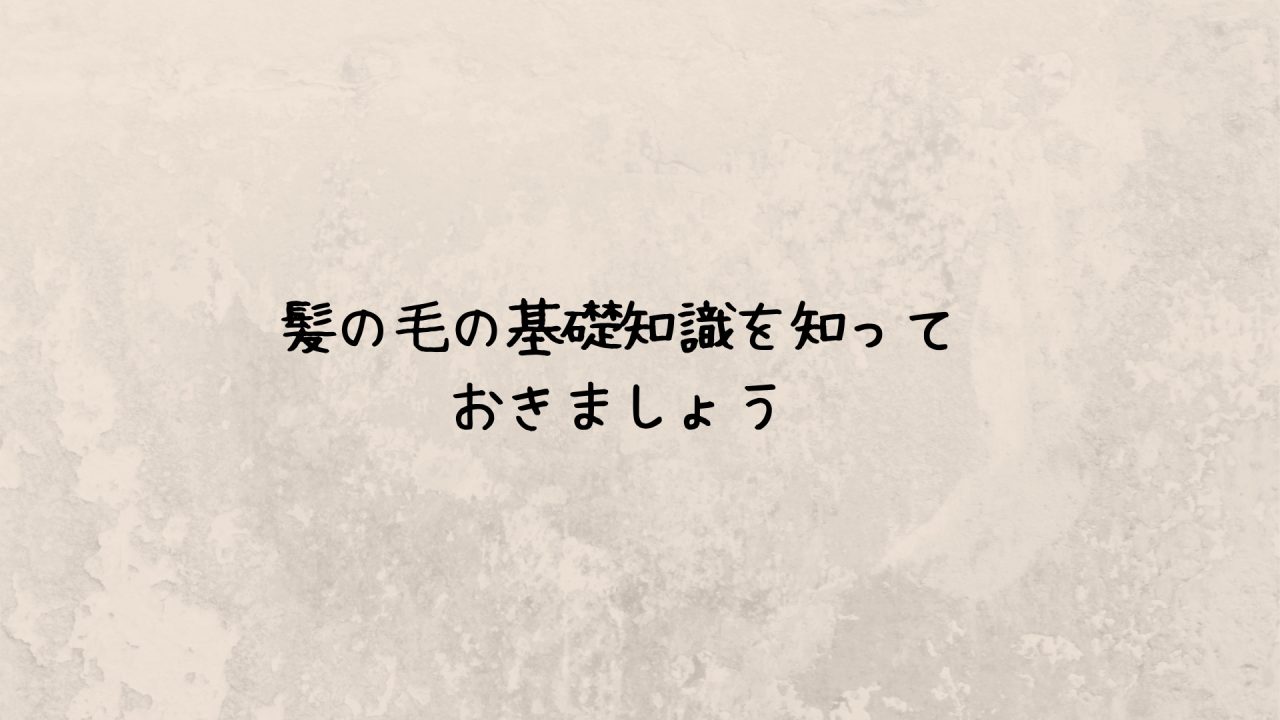 髪の毛の基礎知識を知っておきましょう