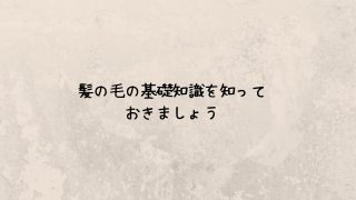 髪の毛の基礎知識を知っておきましょう